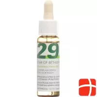 Phytomed Bachblüten No29 Dold Milchstern Flasche 10ml