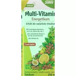 Salus Multi-Vitamin Energetic Bio 250ml