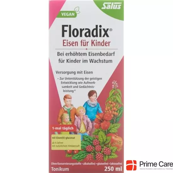 Floradix Eisen für Kinder Saft Flasche 250ml buy online