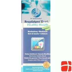 Regulatpro Dent Healthy Mouth Flasche 350ml