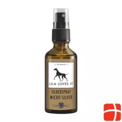 Lila Loves It Silberspray + Aloe Vera Flasche 50ml