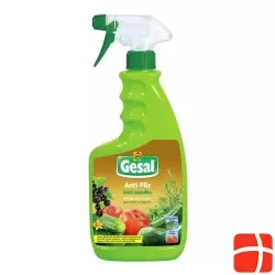 Gesal Anti-Pilz für Obst und Gemüse Spray 750ml