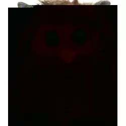 Sänger Hot-water bottle natural rubber plush 0.8L owl
