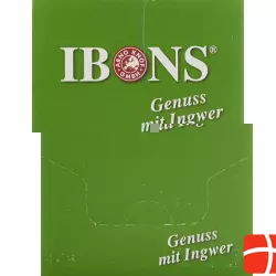 Piniol Disp Ingwer Bonbons Zitro Zuckerfrei 10x 75g