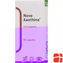 Bionaturis Novaxanthine Astaxanthin Kapseln 4mg Dose 90 Stück