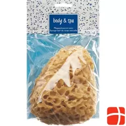 Herba natural sponge big