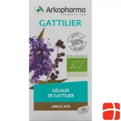 Arkocaps Moenchpfeffer Kapseln Bio Dose 60 Stück