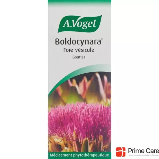 Vogel Boldocynara Leber-Galle Tropfen Flasche 100ml buy online