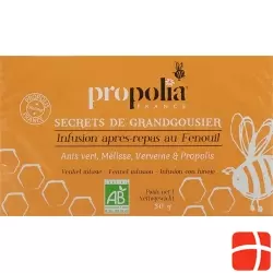 Propolia Tee Nach Dem Essen Bio Beutel 20 Stück