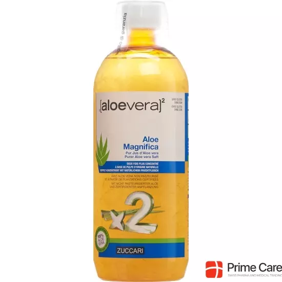 Zuccari Aloe Magnifica Flasche 1L buy online
