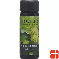 Soglio Aqua Castanea Flasche 100ml