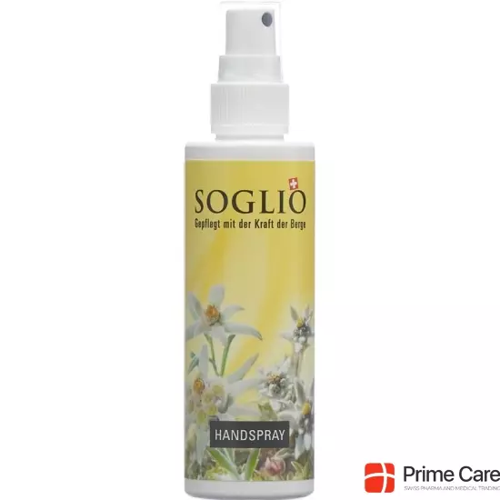 Soglio Handspray Flasche 100ml buy online
