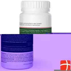 Kingnature Oregano Vida Kapseln 614mg Dose 60 Stück