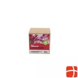Dixa Limonenysop Bio Geschnit Py Beutel M Box 20 Stück