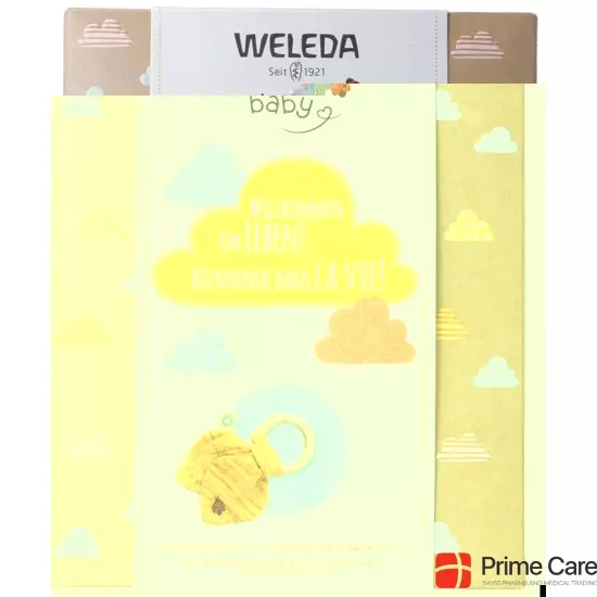 Weleda baby care gift set 2020 buy online