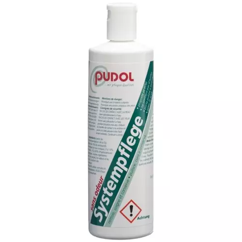 Pudol Systempflege Geruchlos 400g buy online
