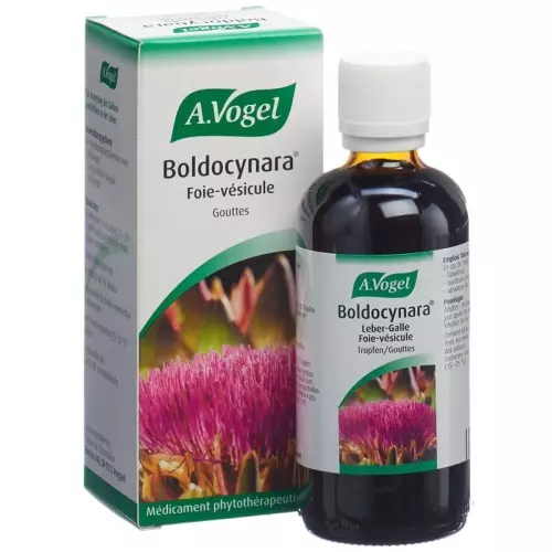 Vogel Boldocynara Leber-Galle Tropfen Flasche 100ml buy online