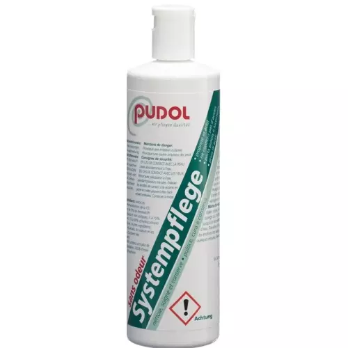 Pudol Systempflege Geruchlos 400g buy online
