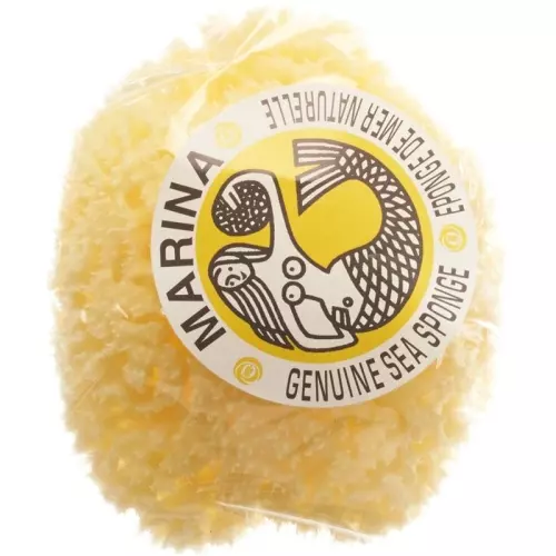 Marina natural sponge Venise 12cm buy online