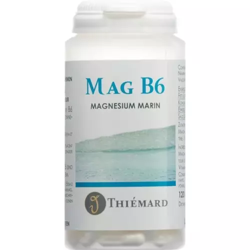 Mag B6 Kapseln 120 Stück buy online