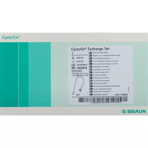 Cystofix Ballon-Wechselbest Ch16 40cm Gerade Einz buy online