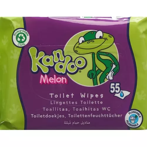Kandoo Feuchttücher Melone (neu) 55 Stück buy online