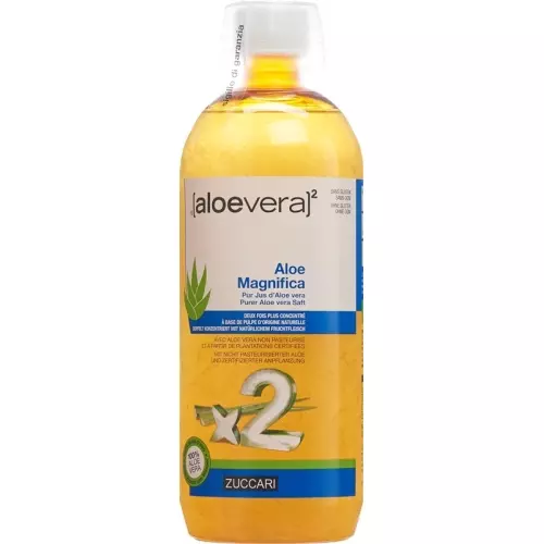 Zuccari Aloe Magnifica Flasche 1L buy online