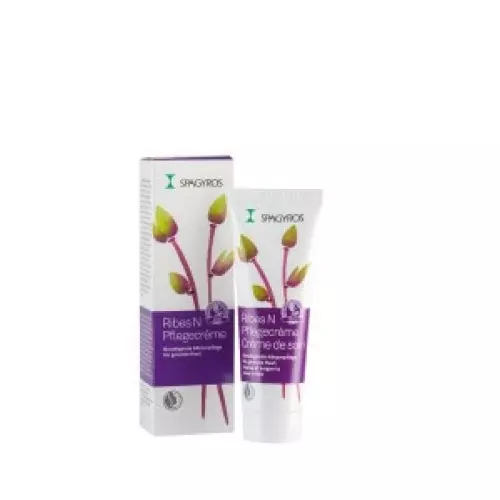 Spagyros Ribes N cream Tb 50 ml