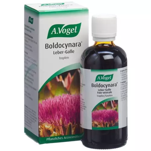 Vogel Boldocynara Leber-Galle Tropfen Flasche 100ml buy online