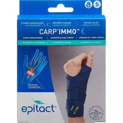 Epitact Carp'immo Starr S Rechts buy online