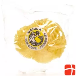 Marina natural sponge Venise 18cm