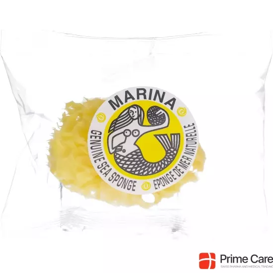 Marina natural sponge Venise 8cm buy online
