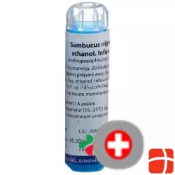 Weleda Sambucus Nigra Globuli D 3 4g