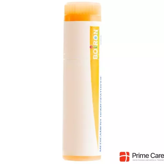 Boiron Caladium seguinum Glob 15C 1 dose buy online