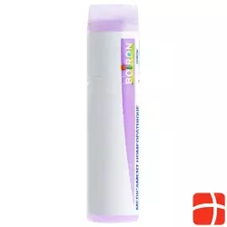 Boiron Dulcamara Glob C 30 1 dose