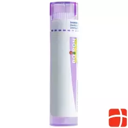 Boiron China rubra Gran C 30 4 g