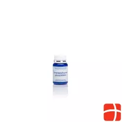 Phytomed Harpagophyt Pro Urtinkt Tabletten Mft 100 Stück