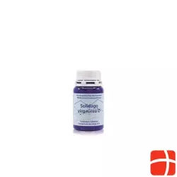 Phytomed Solidago Virgaur Urtinkt Mft 100 Stück