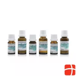 Phytomed Fruehsommerpollinose Globuli C 30 10g