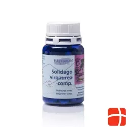 Phytomed Solidago Mft Tabletten M Mineralsalz 100 Stück