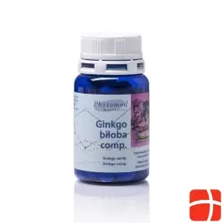 Phytomed Ginkgo Bi Mft Tabletten M Mineralsalz 100 Stück