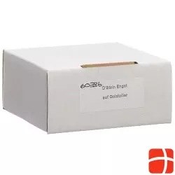 Aromalife fragrance stone set angel & saucer gold