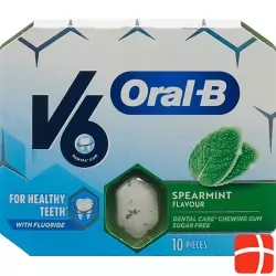 V6 Oralb Kaugummi Spearmint Blister 10 Stück