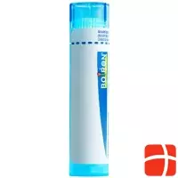Boiron Sulfur Gran C 9 4g