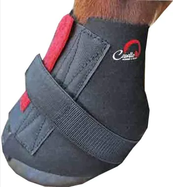 Cavallo Bandages pair