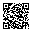 QR Solid SDTOFrederic 21200141