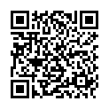QR Cat Mate 3-stage filter elements