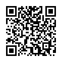 QR Flow Amsterdam Moby