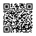 QR AwesomeColors 0.06