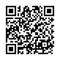 QR AwesomeColors 0.09